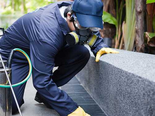 BAIRES CLEAN Fumigacion de Plagas Buenos Aires